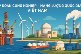 Đổi tên, đổi tầm nhìn: Bước ngoặt chiến lược của Petrovietnam trong kỷ nguyên năng lượng mới