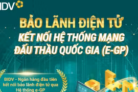 Ưu đãi dành cho doanh nghiệp sử dụng dịch vụ bảo lãnh dự thầu điện tử