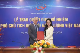 Lãnh đạo cấp cao T&T Group làm phó chủ tịch hiệp hội năng lượng Việt Nam