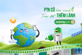Hàng trăm kg pin cũ được thu gom từ chiến dịch pin Hunter do OCB phát động 