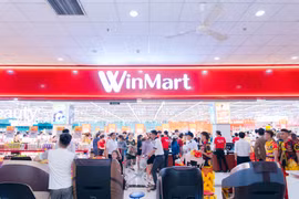 Vietcap: Mảng khoáng sản sẽ đóng góp lợi nhuận cho Masan trong năm 2025