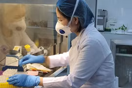 Xét nghiệm COVID-19. Ảnh: HCDC