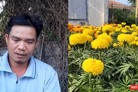 Vợ đột quỵ qua đời, chồng nuốt nước mắt bán hết số hoa cuối cùng và tình người Sài Gòn.