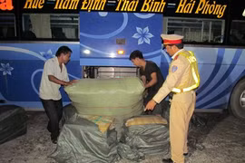 Hé lộ nguyên nhân voi đoàn xiếc quật chết cháu bé 12 tuổi