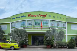 Toàn bộ HĐQT nhựa Rạng Đông từ nhiệm, có em trai và cháu cựu Thứ trưởng Hồ Thị Kim Thoa