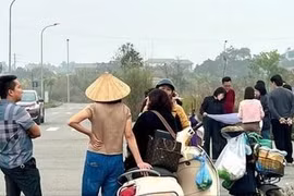 Nhiều nhà đầu tư đổ về một khu đô thị bỏ hoang ở TP Việt Trì (tỉnh Phú Thọ) để hỏi mua đất nền.