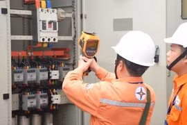 Cần làm rõ các khoản lỗ của EVN, không thể “đẩy” chi phí bất hợp lý sang người tiêu dùng
