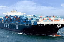 Hãng tàu Hanjin Hàn Quốc tồn hơn 4.000 container tại TP HCM.