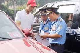 Sở GTVT Hà Nội vừa quyết định thu hồi 535 phù hiệu xe ô tô.