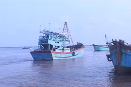 Ảnh minh họa