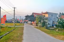 Ảnh minh họa. Nguồn: Internert