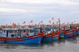 Ảnh minh họa