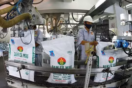Đạm Cà Mau đang là thương hiệu số 1 ĐBSCL