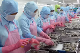 Từ 1/10 tới, việc cấp chứng thư theo NSW cho thủy sản sẽ được mở rộng trên phạm vi cả nước - (Ảnh minh họa)