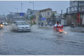 TP. HCM tự chọn nhà thầu trong Dự án giải quyết ngập do triều.