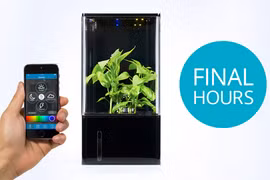 Hộp trồng cây tự động, theo dõi qua smartphone.