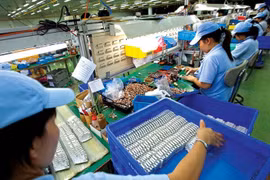 Ảnh minh họa. Nguồn Internet