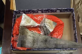 Tang vật bị bắt giữ tại sân bay Tân Sơn Nhất. (Ảnh: TTXVN phát)