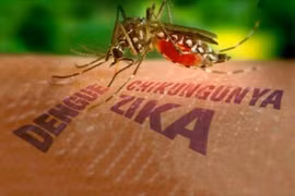 Ca nhiễm bệnh mới được phát hiện dương tính với Zika là bệnh nhân cư trú tại Quận 5.