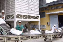 Dừng xuất khẩu gạo sang thị trường Mỹ vì có dư lương thuốc bảo vệ thực vật vượt mức.