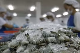 DOC vừa tăng mức thuế chống bán phá giá tôm Việt Nam lên 4,78% - (Ảnh minh họa)