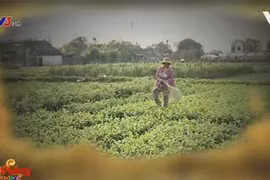 VTV xác nhận, phóng viên thực hiện phóng sự này đã vi phạm nghiêm trọng đạo đức nghề báo.