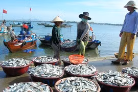 Nhiều loại hải sản miền Trung vẫn chứa phenol quá ngưỡng cho phép (ảnh minh hoạ)