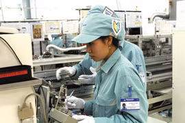 DN CNTT đang thiếu hiểu biết về hội nhập