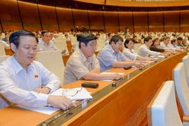 Các đại biểu trong một lần bấm nút biểu quyết tại Quốc hội.
