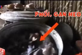 Video: Phù phép gan heo và hóa chất thành thịt bò khô
