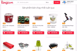 Lingo.vn từng tham vọng là website TMĐT số 1 Việt Nam.