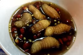 Đuông dừa có lẽ là món mang lại nhiều cảm xúc nhất cho cả người ăn lẫn người chứng kiến. Đuông dừa là côn trùng sống trong thân cây dừa, trông như con dòi khổng lồ, toàn thân luôn uốn lượn. Tại Sài Gòn, đuông dừa được xem là đặc sản bởi không phải khi nào