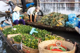 Video: Chợ nổi Cái Răng trong sương sớm