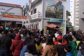 Bảo tàng Thiên nhiên quá tải vì dân đến xem cụ Rùa