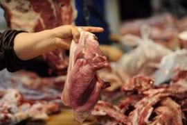 Video: Người Việt đã ăn hơn 6 triệu con lợn nhiễm độc