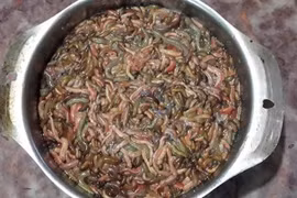 Rươi trước kia là món ăn phổ biến của người dân làng quê, giá rất rẻ. Tuy nhiên, hiện nay 1 nồi rươi kho có giá lên đến 1 triệu đồng.