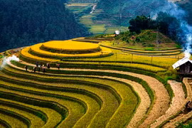 Ngày 1/11/2011, Bộ Văn hóa - Thể thao và Du lịch đã chính thức công nhận ruộng bậc thang của Hoàng Su Phì là Di tích Quốc gia.