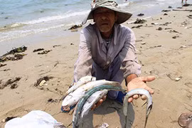 Formosa đã thừa nhận xả thải gây tác hại đến môi trường?