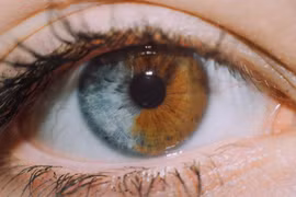 Ảnh: BrightSide