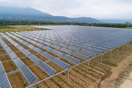 Các module pin điện mặt trời trên cánh đồng đậu nành. Ảnh PV-Magazine-USA