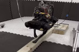 Robot bốn chân có thể đi trên một cầu thăng bằng hẹp. Ảnh Đại học Carnegie Mellon