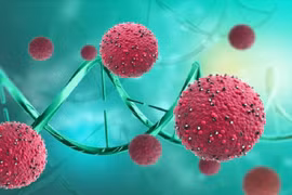 Thuốc chống ung thư máu có thể tiêu diệt tế bào HIV. Ảnh Tech Explorist