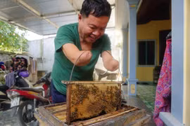 Ông Linh nuôi đàn ong mật với những dụng cụ đã được cải tiến để phù hợp với bản thân.