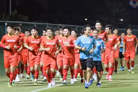 Tất cả đã sẵn sàng- Ảnh VFF.