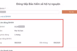 Ảnh minh họa