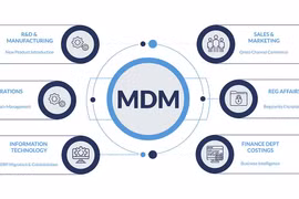 MDM - quản lý dữ liệu chủ (Ảnh: FR)
