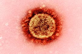 Công nghệ CRISPR làm ngưng sự lan truyền của virus Corona trên người (Ảnh: Free Think)