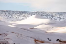 Tuyết phủ trắng một vùng sa mạc Sahara (Ảnh: Daily Mail)