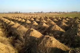 Thành phố tại Ukraina đào hàng trăm ngôi mộ để dọa người dân (Ảnh: OC)
