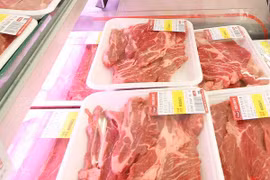 Cho phép nhập thịt bò Pháp vào Việt Nam